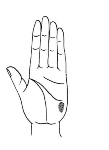 教你怎样看手相(看手相的正确打开方式)(9)