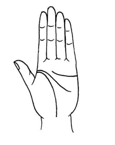 教你怎样看手相(看手相的正确打开方式)(6)