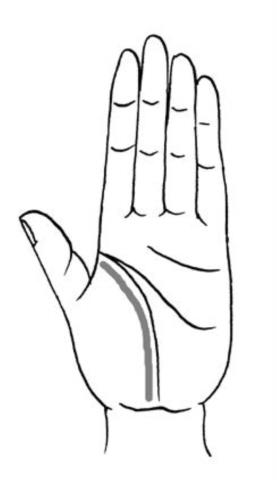 教你怎样看手相(看手相的正确打开方式)(5)