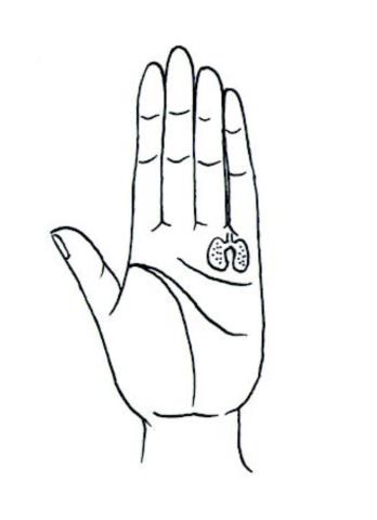 教你怎样看手相(看手相的正确打开方式)(8)