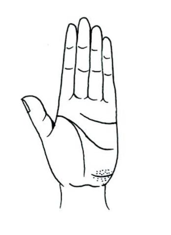 教你怎样看手相(看手相的正确打开方式)(12)