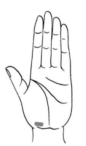 教你怎样看手相(看手相的正确打开方式)(3)