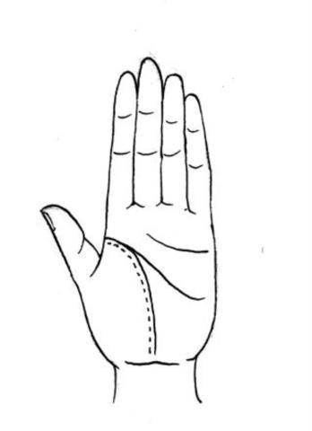 教你怎样看手相(看手相的正确打开方式)(4)