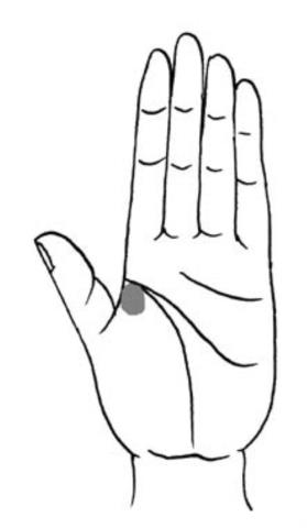 教你怎样看手相(看手相的正确打开方式)(2)