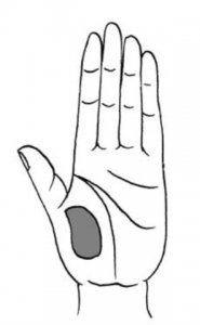 ​教你怎样看手相（看手相的正确打开方式）