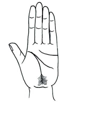 教你怎样看手相(看手相的正确打开方式)(11)