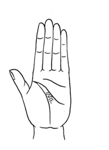 教你怎样看手相(看手相的正确打开方式)(7)