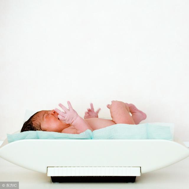 欧弟二胎最新(欧弟宣布怀二胎)(11)