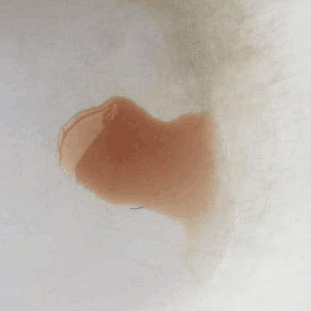 欧弟二胎最新(欧弟宣布怀二胎)(12)