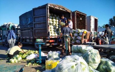 ​北京蔬菜批发市场有哪些，北京较大海鲜批发市场有哪些？