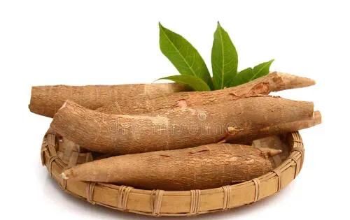 木薯的种类,木薯的种类?图5