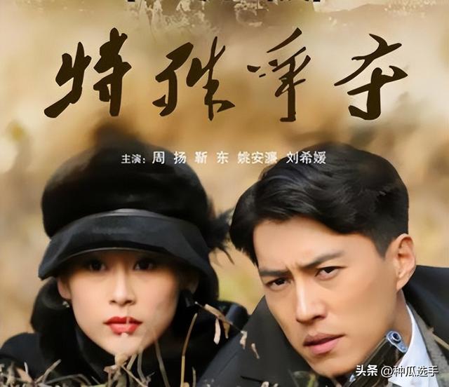 盘点几款最好看的抗日剧(曾经的抗战剧四大女主)(2)