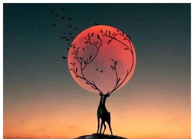 有深度有涵养的句子名人名言