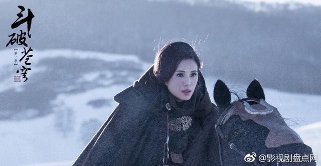 李若彤拍的电视剧有哪些(姑姑李若彤复出)(3)