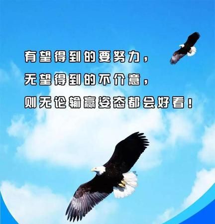 鼓励作者的暖心话语