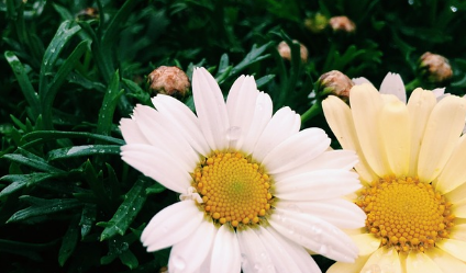 支持鼓励人的话,一些鼓励人的话图3