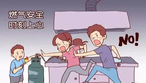 家用煤气是天然气还是液化气,瓶装煤气是液化气还是天然气图1