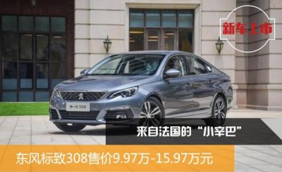 ​东风标致308优点与缺点及价格（来自法国的小辛巴）