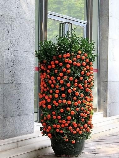 新年的习俗，你还记得新年的各种喜庆老习俗么？图2