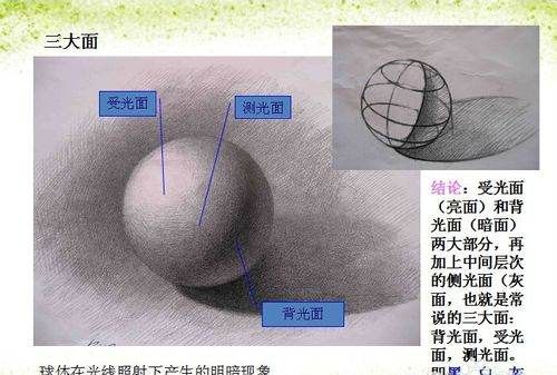 五大调子三大面是什么,素描中的三大面五大调子指的是什么图2