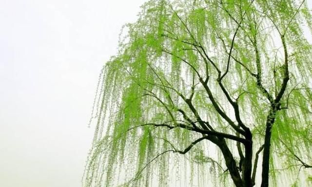 上巳节是什么意思 ,流传几千年的三月三上巳节,是什么时候变成黄帝生日的?图2