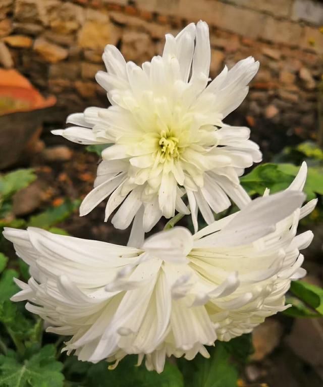 上巳节是什么意思 ,流传几千年的三月三上巳节,是什么时候变成黄帝生日的?图3