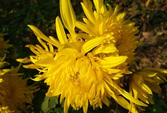 上巳节是什么意思 ,流传几千年的三月三上巳节,是什么时候变成黄帝生日的?图7