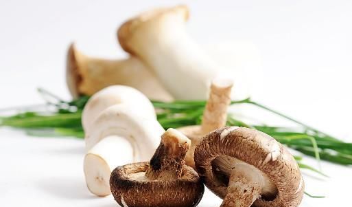 新鲜白蘑菇放冰箱冷藏能放几天