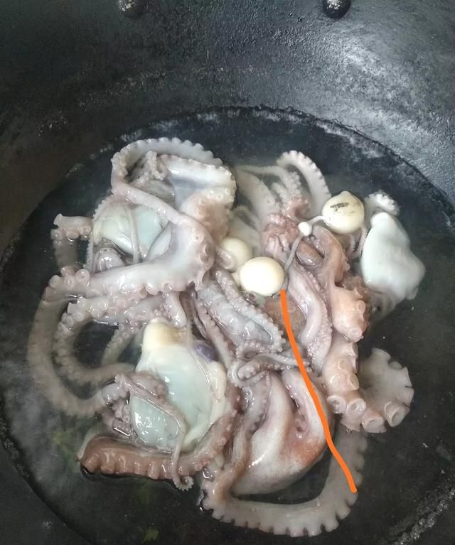 八爪鱼的哪些部位不能吃
，八爪鱼怎么吃好吃？哪里不能吃？图5