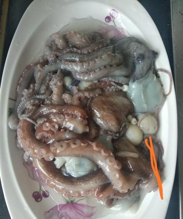 八爪鱼的哪些部位不能吃
，八爪鱼怎么吃好吃？哪里不能吃？图3