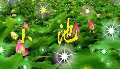 ​古诗小池刻画的是哪个时节，小池古诗阐明道理_初夏美景名作