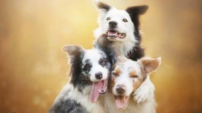 ​7758在感情中什么意思