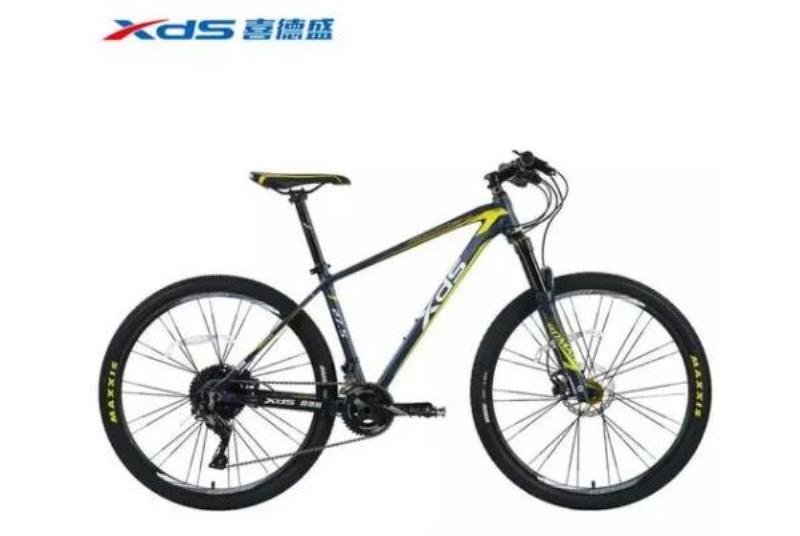 山地车自行车十大名牌（山地车排行榜品牌大全）(10)