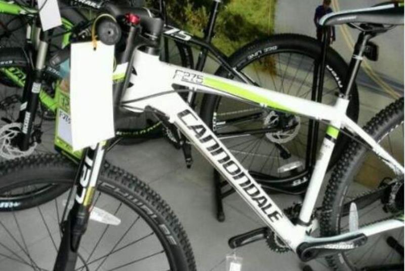 山地车自行车十大名牌（山地车排行榜品牌大全）(4)