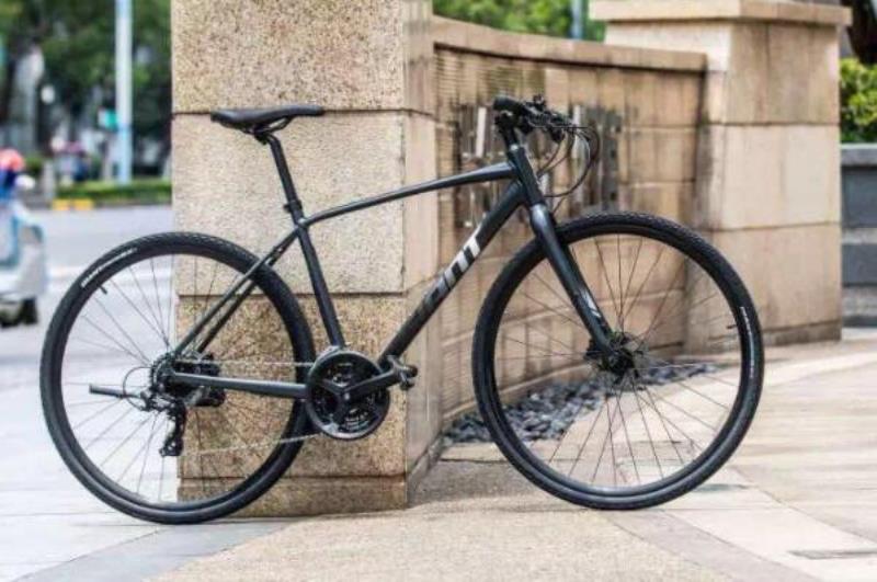 山地车自行车十大名牌（山地车排行榜品牌大全）(2)