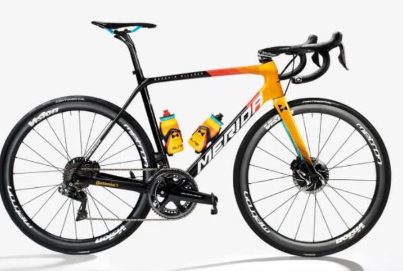 山地车自行车十大名牌（山地车排行榜品牌大全）(7)