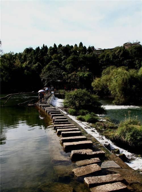 斑马线与斑马有什么关系蚂蚁庄园,斑马线的来源是什么?图2