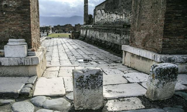 斑马线与斑马有什么关系蚂蚁庄园,斑马线的来源是什么?图1