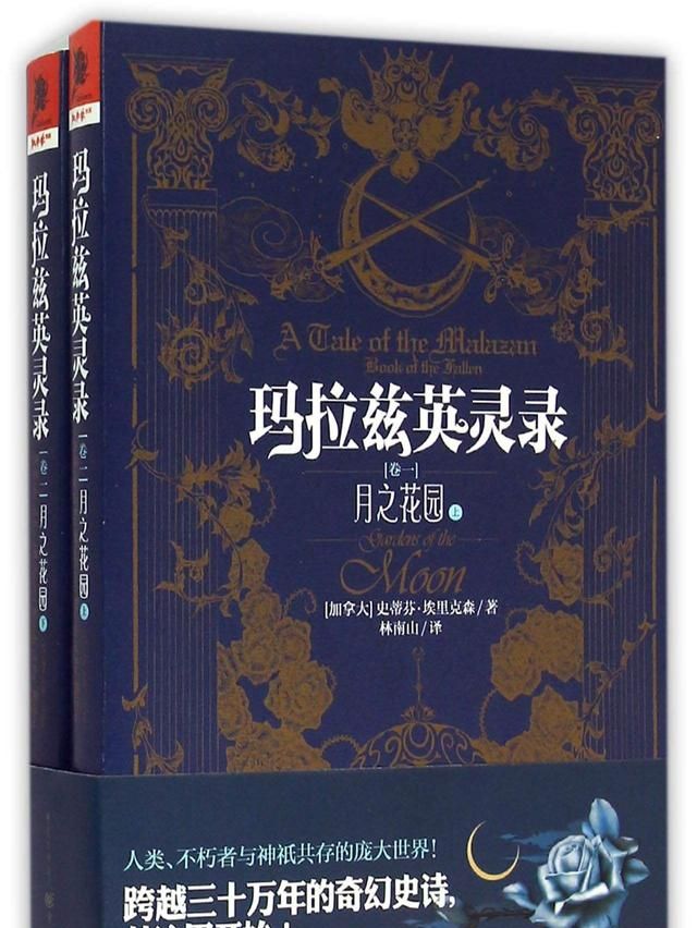 斑马线与斑马有什么关系蚂蚁庄园,斑马线的来源是什么?图33