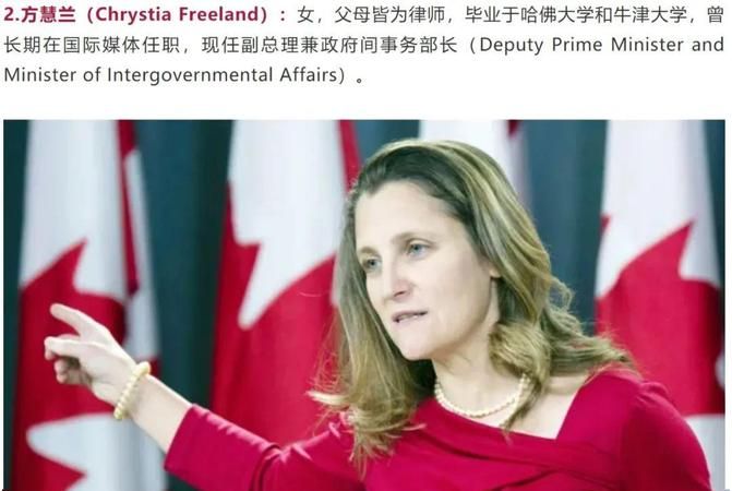 第十四届汉语桥选手