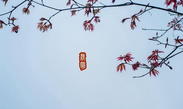 鹰潭美食，鹰潭哪条街有好吃的烧烤推荐啊？图43