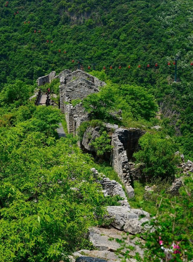 鹰潭美食，鹰潭哪条街有好吃的烧烤推荐啊？图54