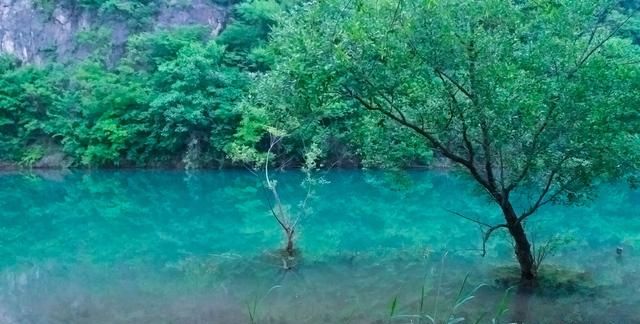 鹰潭美食，鹰潭哪条街有好吃的烧烤推荐啊？图58