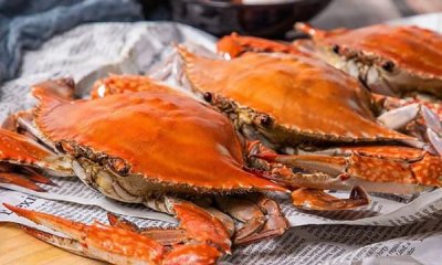 ​梭子蟹是发物,中药有没有忌口的东西