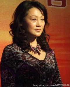 ​王姬主演的电视剧，王姬参演的电视(王姬演的电视剧有哪些)