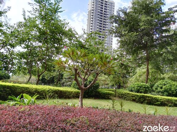 华为 麦芒4怎么样(无畏无所畏惧华为麦芒4全网通上手体验)(19)