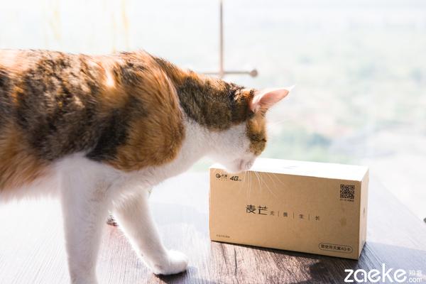 华为 麦芒4怎么样(无畏无所畏惧华为麦芒4全网通上手体验)(2)