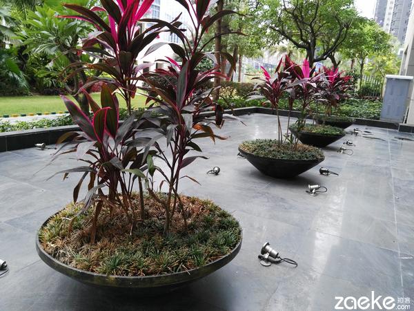 华为 麦芒4怎么样(无畏无所畏惧华为麦芒4全网通上手体验)(24)