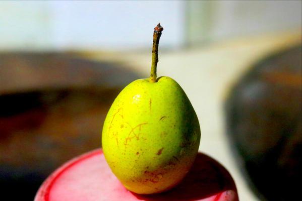 今日立秋吃点啥（今日立秋记得吃这）(5)