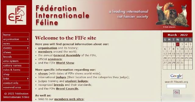 字母z有何意义(欧美无厘头制裁背后的霸权逻辑)(3)